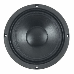 6M 2PL SICA loudspeaker